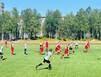 Вновь мяч в игре
