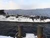 8 тысяч миль под водой