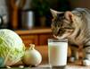 В Мурманской области подешевели морковь и капуста, а молоко подорожало