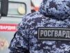 В Мурманске росгвардейцы задержали мужчину, находившегося в розыске