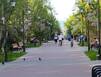 Вглубь островов тепла