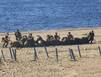 Мурманские реконструкторы в Архангельске воссоздали эпизод Петсамо-Киркенесской операции