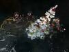 Дайверы водили хороводы у елки, установленной на дне Ура-Губы