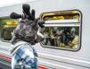С милого севера в сторону южную
