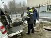 В Мурманске из канализационного люка спасли собаку
