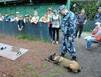 Мурманские школьники побывали в гостях у пенитенциарных кинологов