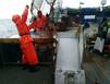 Оценить запасы краба в море, уточнить ОДУ, составить прогноз