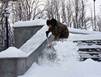Сюрпризы северной зимы