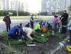В Апатитах зацвел... велосипед
