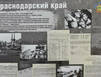 Без срока давности