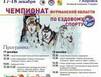 Кировск приглашает на чемпионат Мурманской области по ездовому спорту на собачьих упряжках