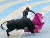 В Испании впервые за последние 30 лет бык убил тореадора