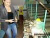 В апатитском Доме творчества спасали деревья