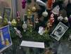 Воспоминания… на еловых лапах
