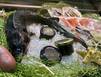 Заполярные предприятия представляют наш край на международной выставке Seafood Expo Russia