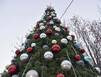 Кабы не было зимы в городах и селах