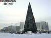 На главной площади Мурманска смонтировали новогоднюю ель