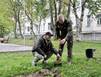 Новые деревья будут расти в сквере у мемориала участникам специальной военной операции в Североморске