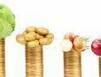 Росстат назвал подорожавшие сильнее всего в 2016 году продукты
