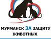 Мурманские зоозащитники выйдут завтра на митинг 