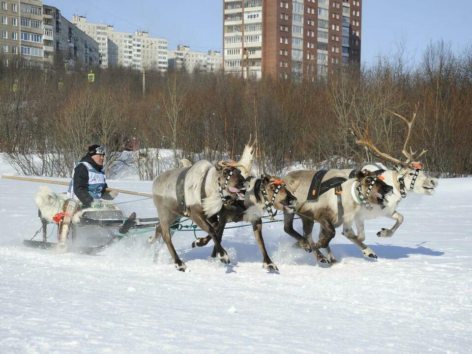 Николай Селиванов. Фото: Сергей Ещенко