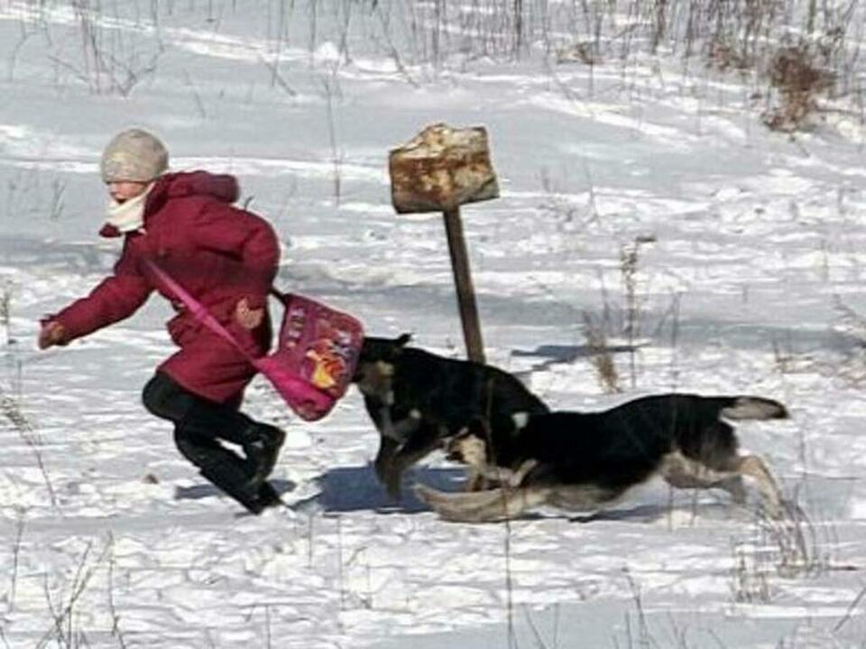 Фото с сайта hodor.lol
