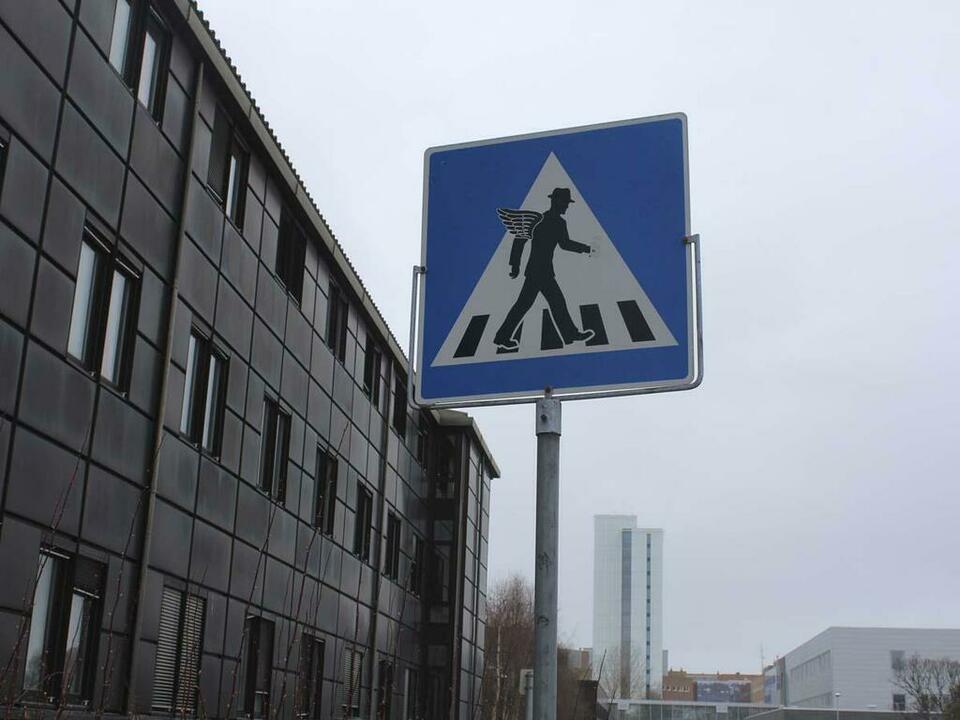Переход возле университета Тромсё.