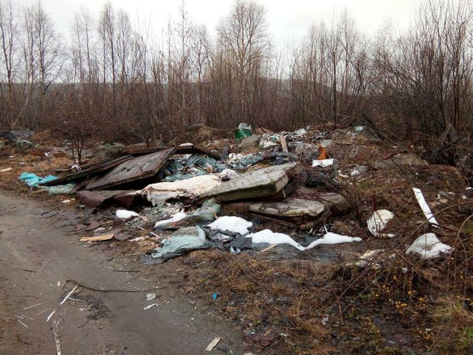 В Мурманской области увеличилось число ликвидированных свалок, отмеченных на интерактивной карте ОНФ.