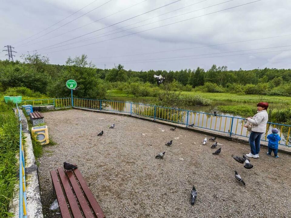 Пока обустроили небольшую площадку около водоема. Пока обустроили небольшую площадку около водоема.
