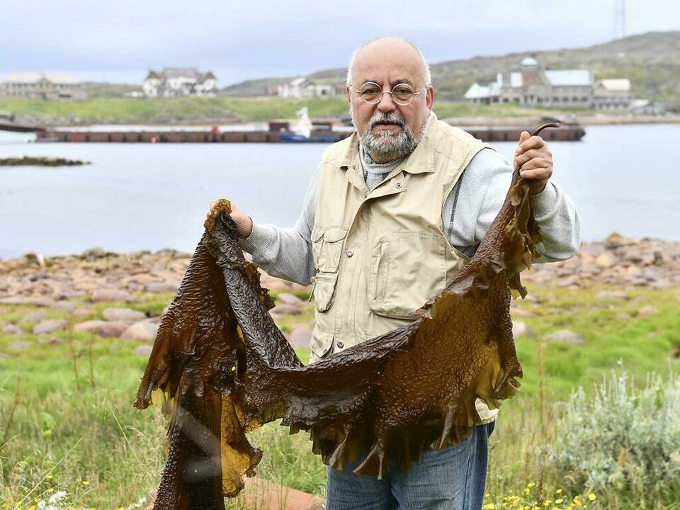 В руках профессора Григория Воскобойникова морская капуста.
