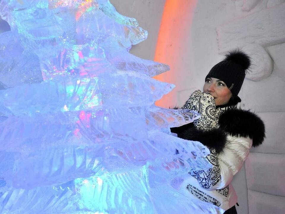 Вот ты какая, елка ледяная! Вот ты какая, елка ледяная!