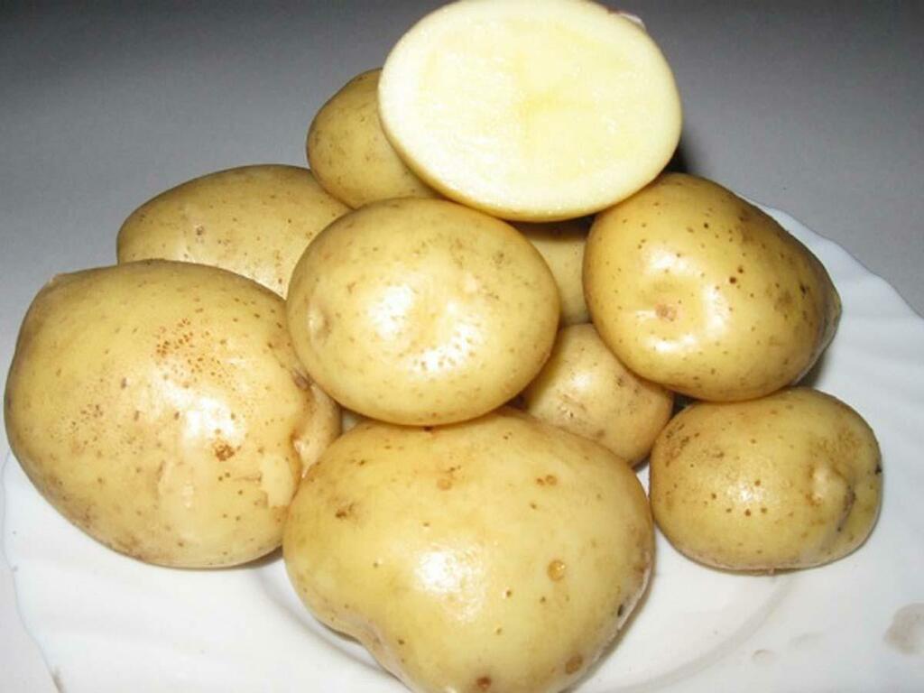 Фреско.