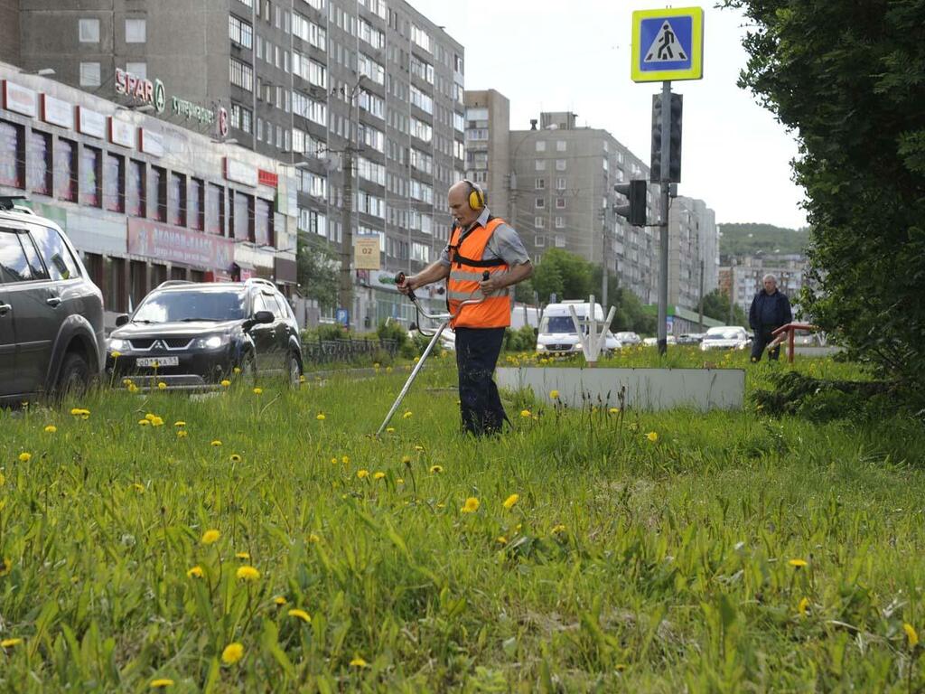 Это не мины ищут, а траву стригут. Это не мины ищут, а траву стригут.