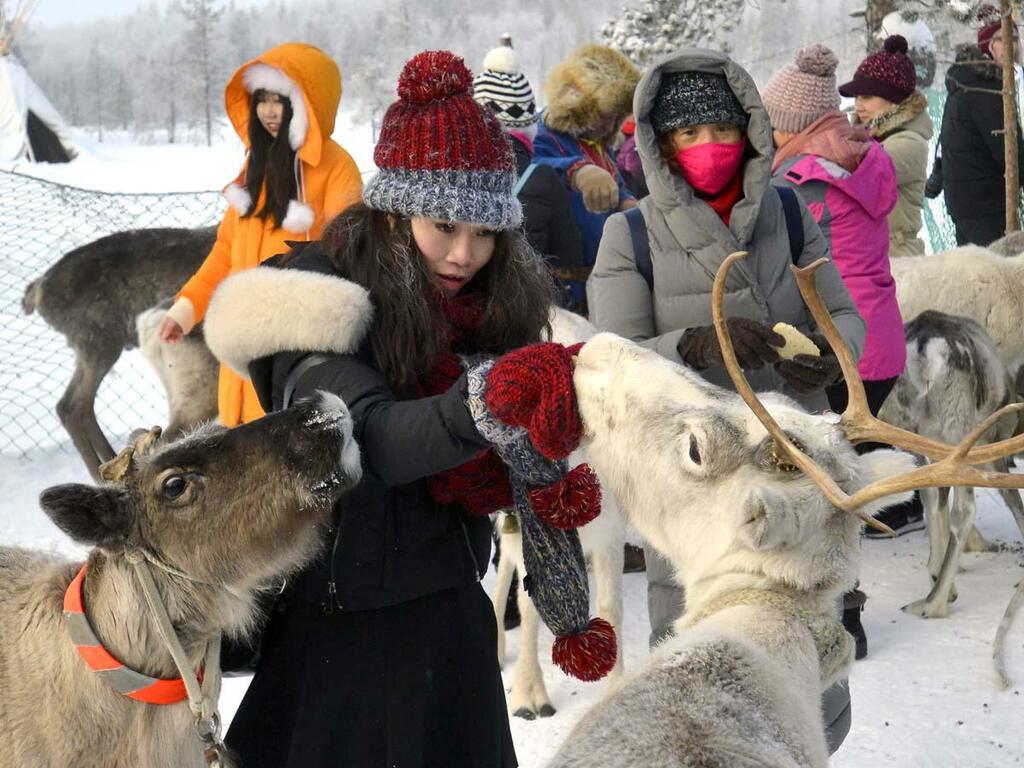 Китайские туристы в Заполярье. Китайские туристы в Заполярье.