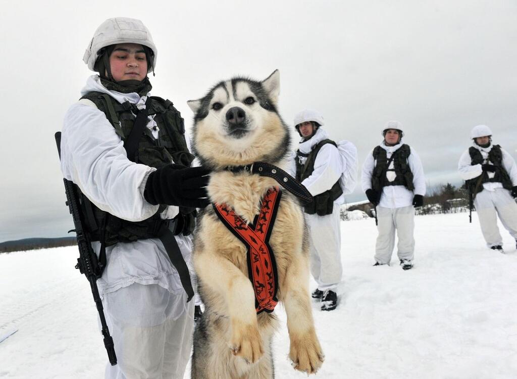 Лев Федосеев
