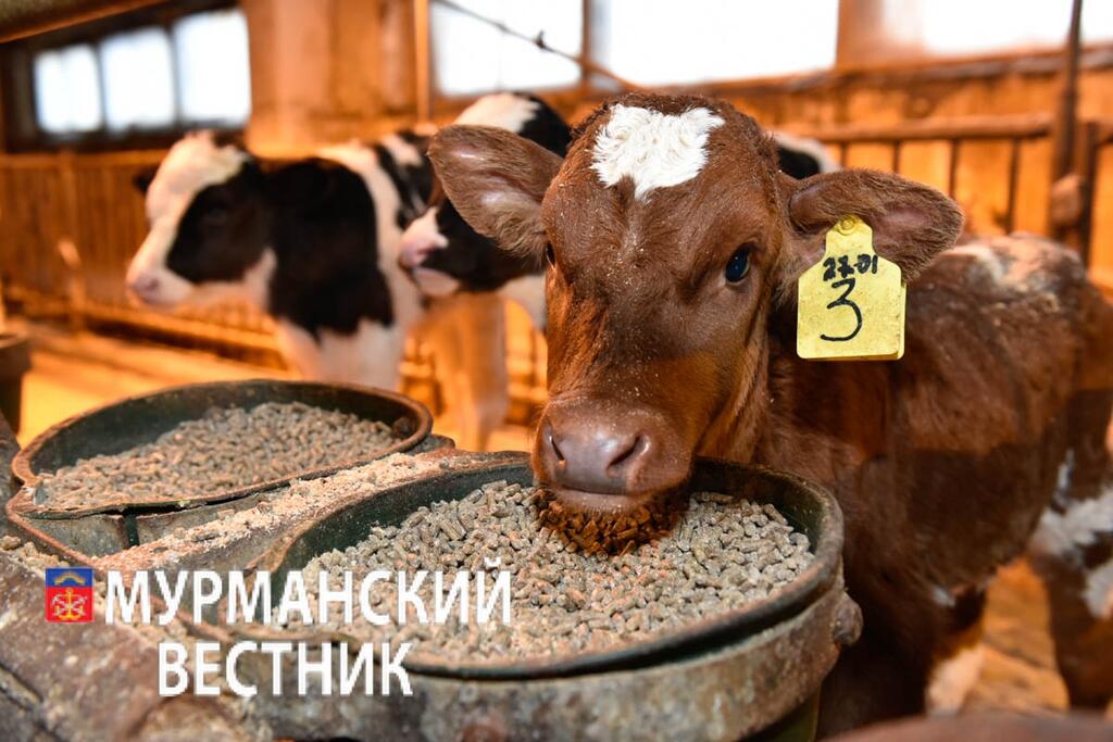 Сергей Ещенко