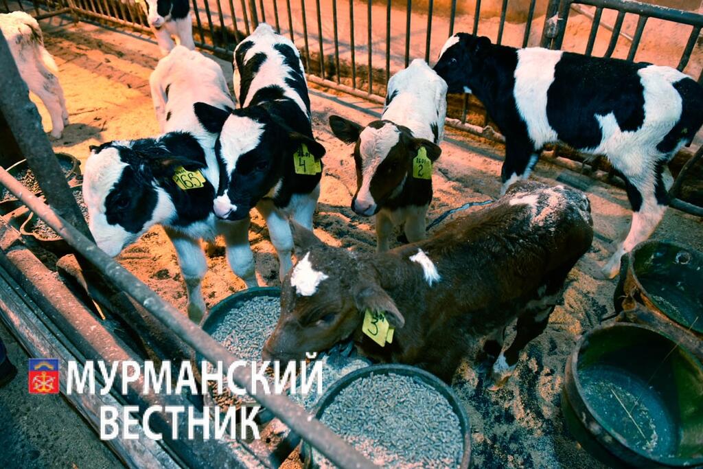 Сергей Ещенко