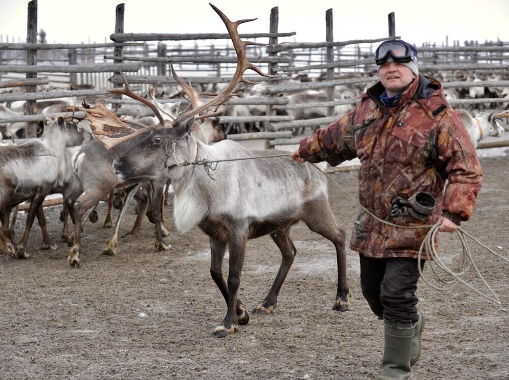 Лев Федосеев