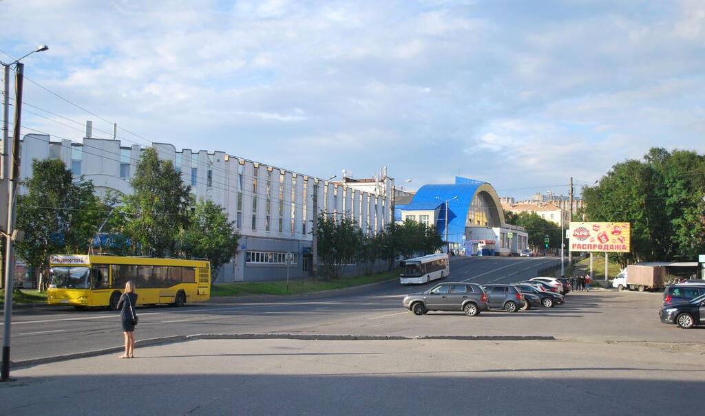 Лариса САЛЯЕВА.