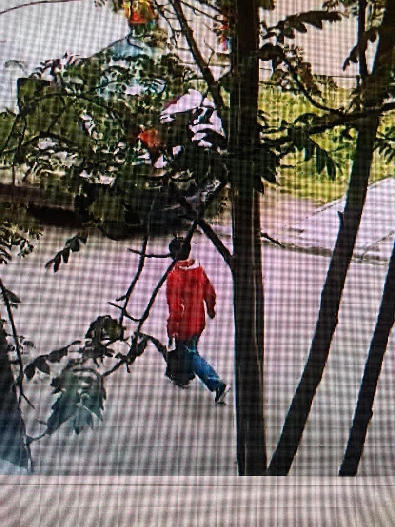 Женщина в день пропажи