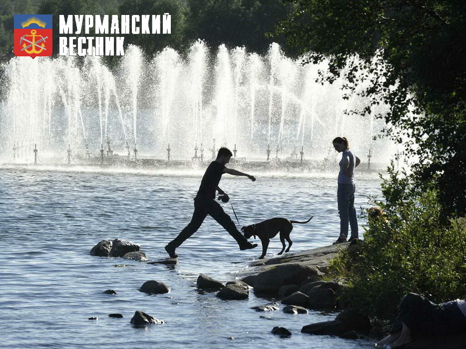 Фото Сергея Ещенко