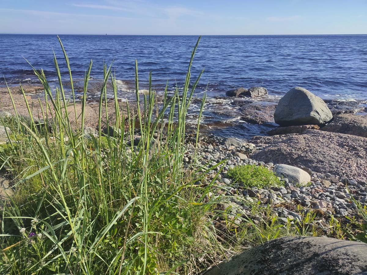 Белое море. &laquo;Берег, милый для меня&raquo;.