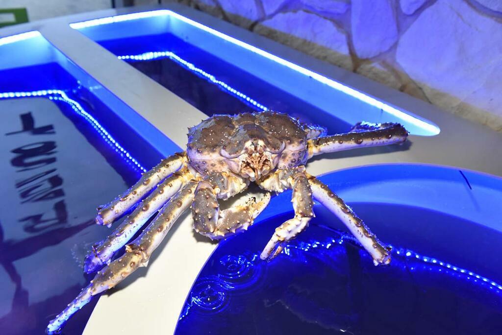 Сергея Ещенко.