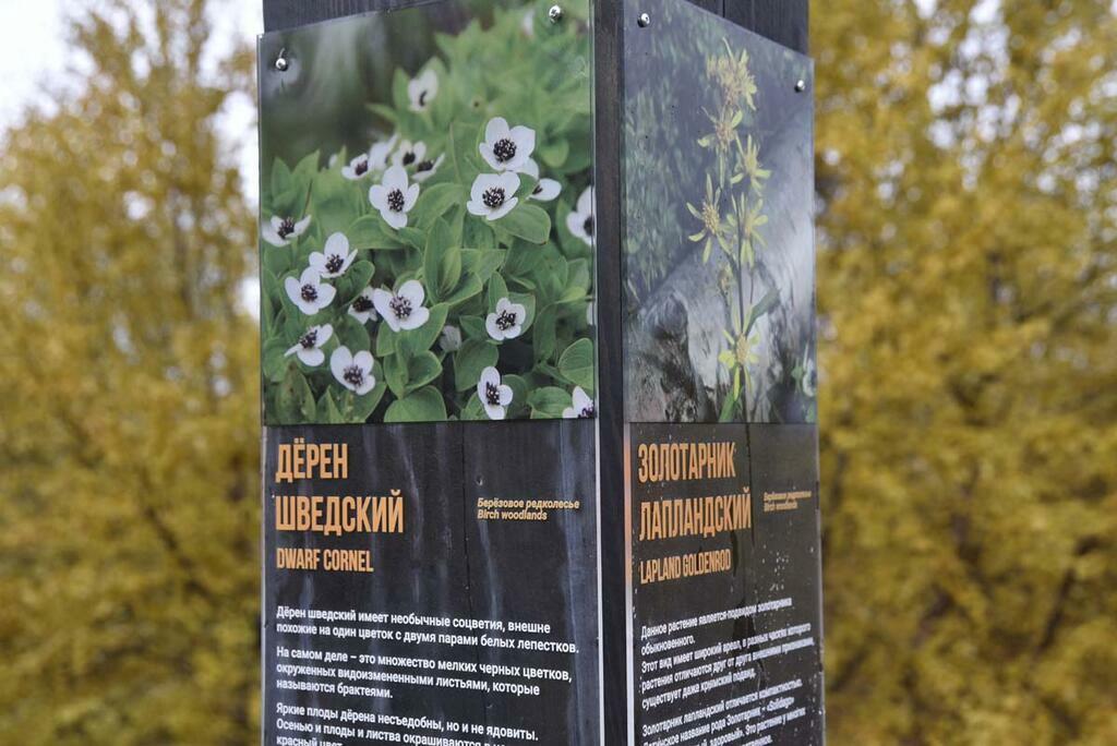 Сергея Ещенко.
