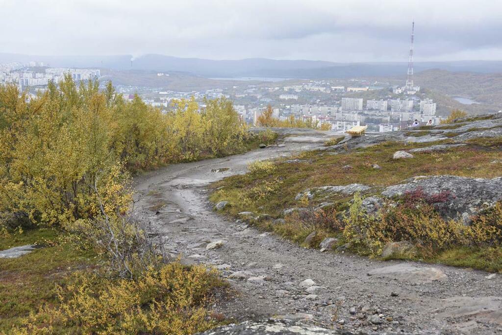 Сергея Ещенко.