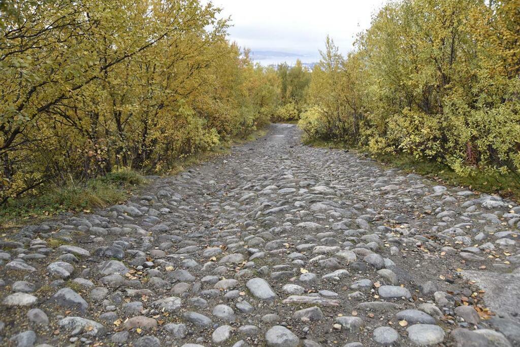 Сергея Ещенко.