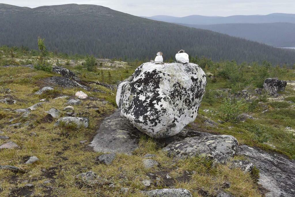 Сергея Ещенко.