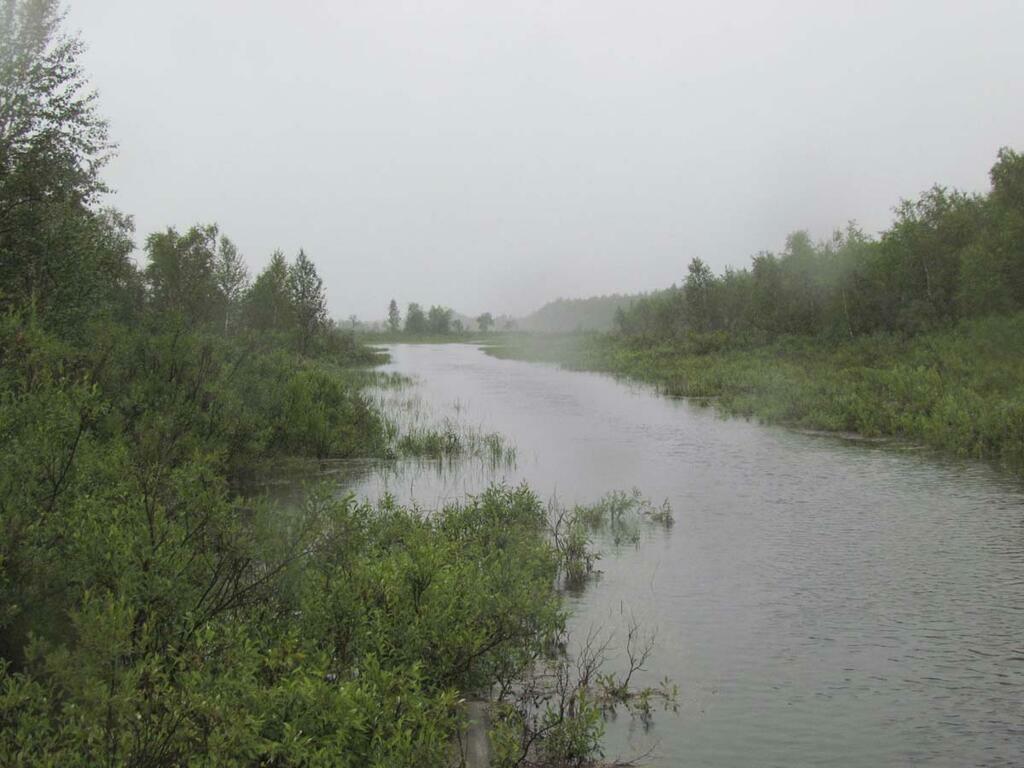 Сергея Юдкова. Водно-болотные угодья.