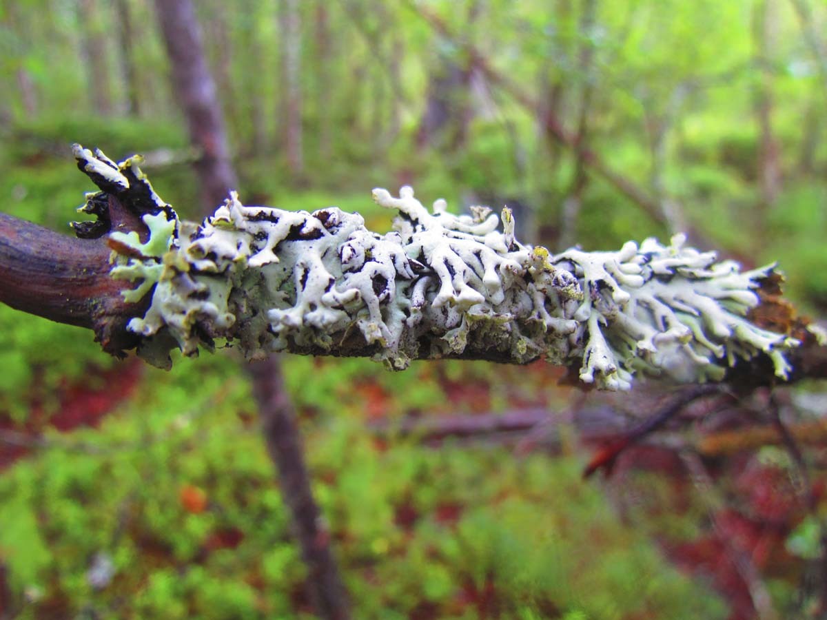 Сергея Юдкова.