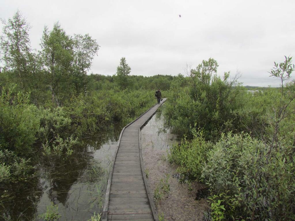 Сергея Юдкова.